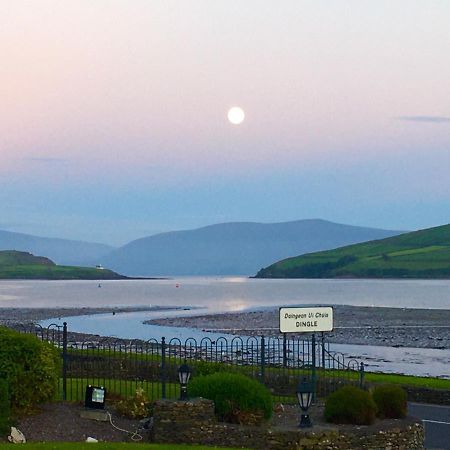 Coastline House Bed and Breakfast Dingle Exteriör bild