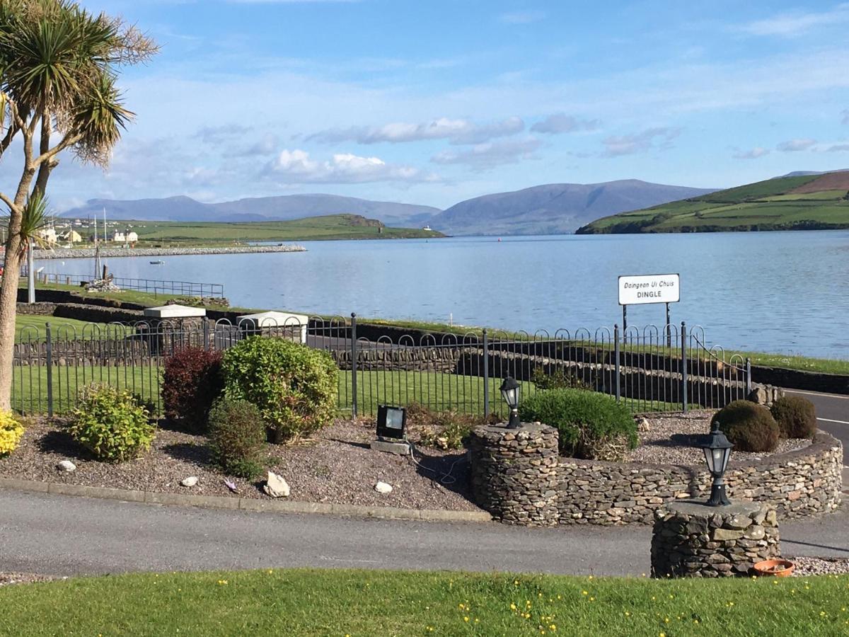 Coastline House Bed and Breakfast Dingle Exteriör bild