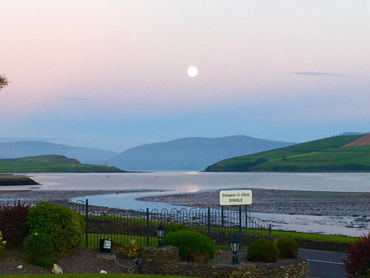 Coastline House Bed and Breakfast Dingle Exteriör bild
